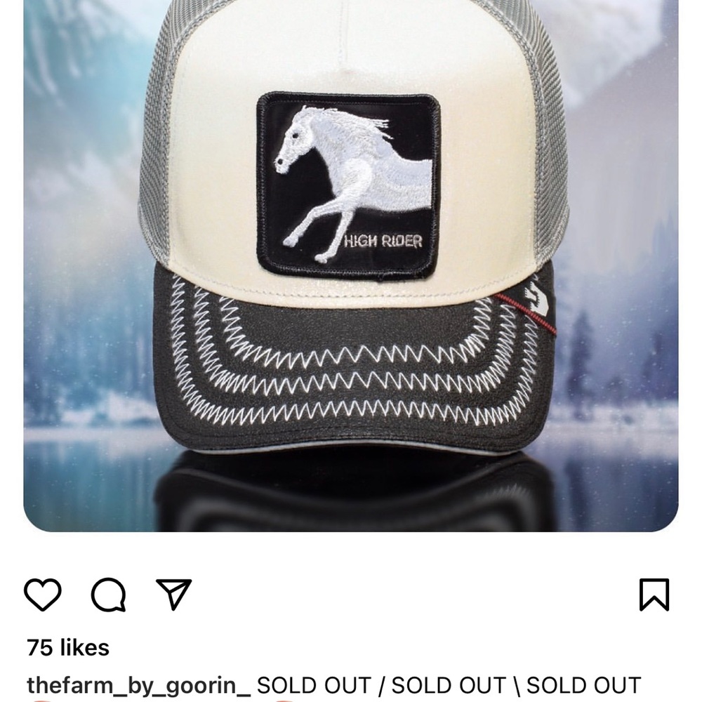 Goorin Bros Sold Out Farm Drop “BUMPY RIDE” - Picture 2 of 13